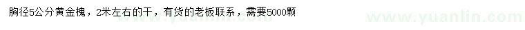 求購(gòu)胸徑5公分黃金槐