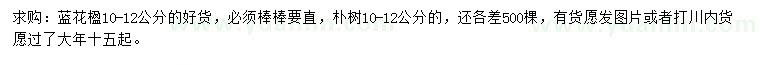 求購10-12公分藍(lán)花楹、樸樹