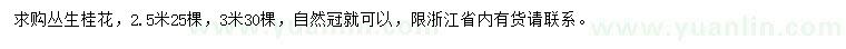 求購2.5、3米叢生桂花