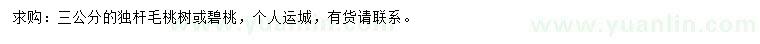 求購3公分毛桃樹、碧桃