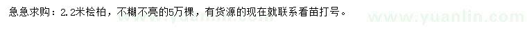 求購(gòu)2.2米檜柏