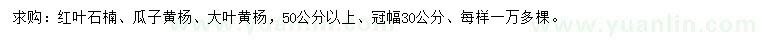 求購(gòu)50公分以上紅葉石楠、瓜子黃楊、大葉黃楊
