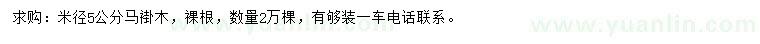 求購米徑5公分馬褂木