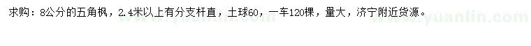 求購(gòu)8公分五角楓