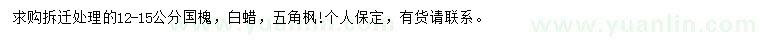 求購國槐、白蠟、五角楓