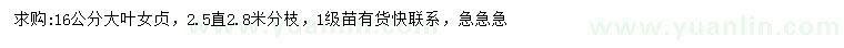 求購(gòu)16公分大葉女貞