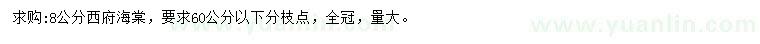 求購8公分西府海棠