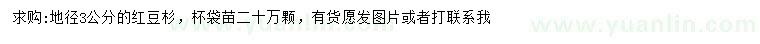求購(gòu)地徑3公分紅豆杉
