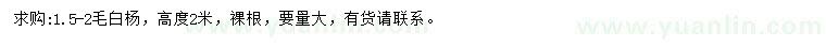 求購1.5-2公分毛白楊