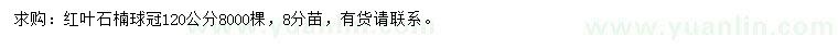 求購冠12公分紅葉石楠球