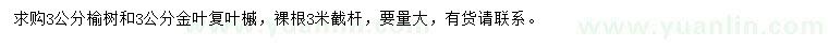 求購3公分榆樹、金葉復葉槭