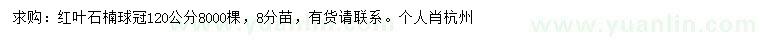 求購冠120公分紅葉石楠球