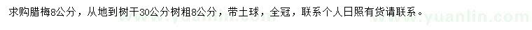 求購8公分臘梅