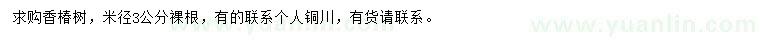 求購米徑3公分香椿