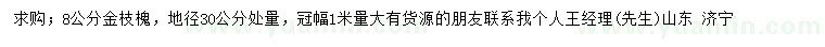 求購(gòu)地徑30量8公分金枝槐