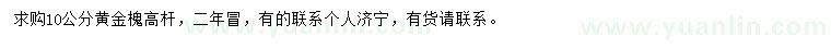 求購10公分黃金槐
