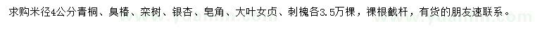 求購(gòu)米徑4公分青桐、臭椿、欒樹(shù)等