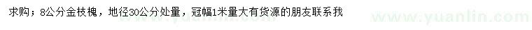 求購地徑30公分處量8公分金枝槐