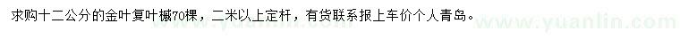 求購12公分金葉復葉槭