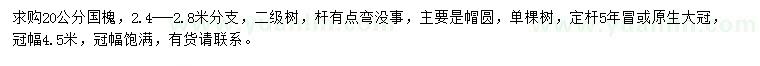 求購20公分國槐