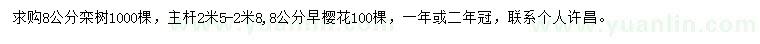 求購8公分欒樹、早櫻