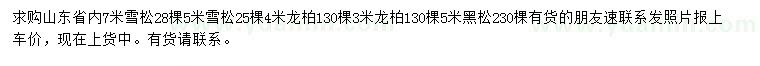 求購(gòu)5、7米雪松、3、4米龍柏