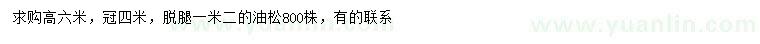 求購(gòu)高6米油松