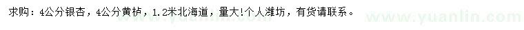 求購銀杏、黃櫨、北海道黃楊