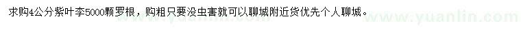 求購4公分紫葉李