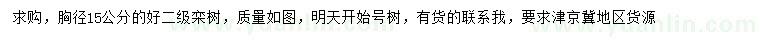 求購胸徑15公分欒樹
