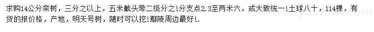 求購14公分欒樹