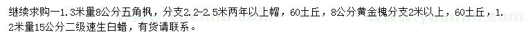求購五角楓、黃金槐、速生白蠟