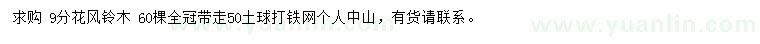 求購(gòu)9分多花風(fēng)鈴木