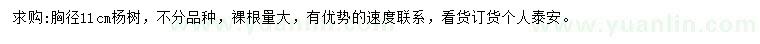 求購(gòu)胸徑11公分楊樹(shù)