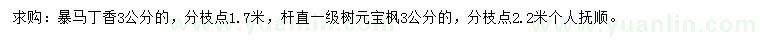 求購3公分暴馬丁香