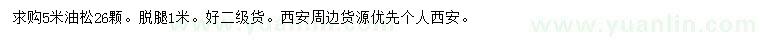 求購5米油松