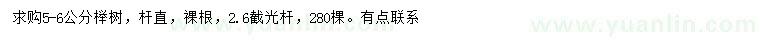 求購5-6公分櫸樹