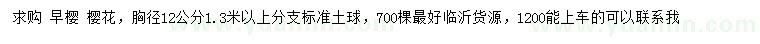 求購胸徑12公分早櫻
