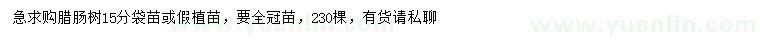 求購臘腸樹