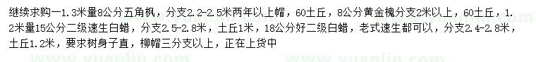 求購(gòu)五角楓、黃金槐、速生白蠟等