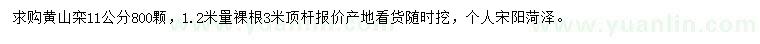 求購11公分黃山欒
