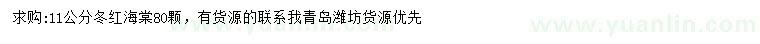 求購11公分冬紅海棠