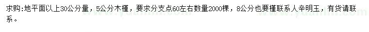 求購30公分量5公分木槿