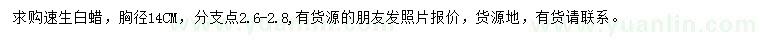 求購胸徑14公分速生白蠟
