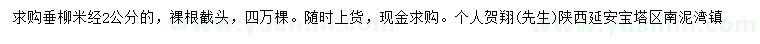 求購米徑2公分垂柳
