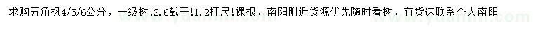 求購(gòu)4、5、6公分五角楓