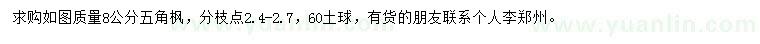 求購8公分五角楓