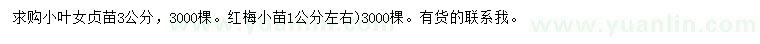求購(gòu)3公分小葉女貞苗、1公分左右紅梅苗
