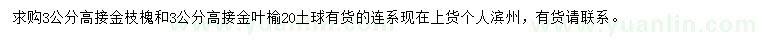 求購(gòu)3公分金枝槐、金葉榆