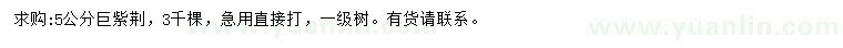 求購(gòu)5公分巨紫荊